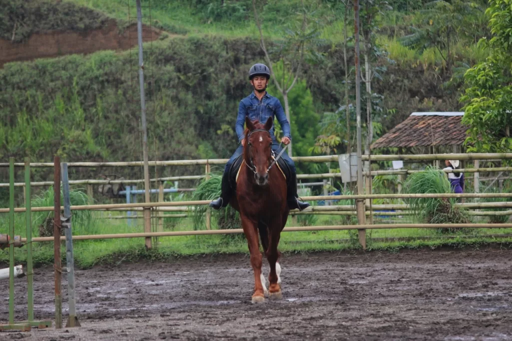 Ganesha H Equestrian (Lembah Dewata Lembang), Bandung Barat
